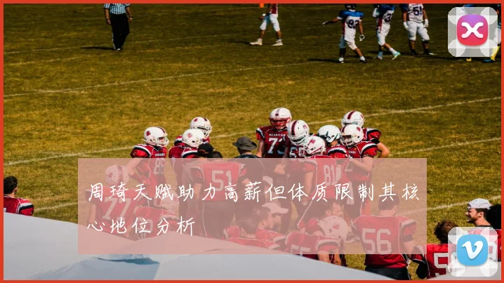 周琦天赋助力高薪但体质限制其核心地位分析